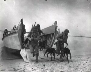 Socialists, War and the Crisis of Capitalist Inhumanity